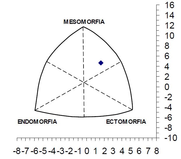 Figura 1. Representación del somatotipo medio.