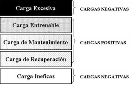Niveles de carga. Adaptado de Navarro y Rivas (2001)