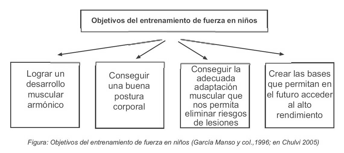 Objetivos del entrenamiento de fuerza en niños (garcia Manso y col., 1996; en Chulvi 2005