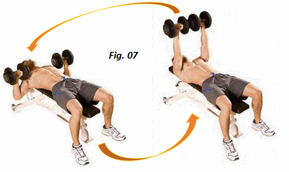 Ejercicios básicos para la parte superior del cuerpo - Ejercicios para  principiantes - Skimble