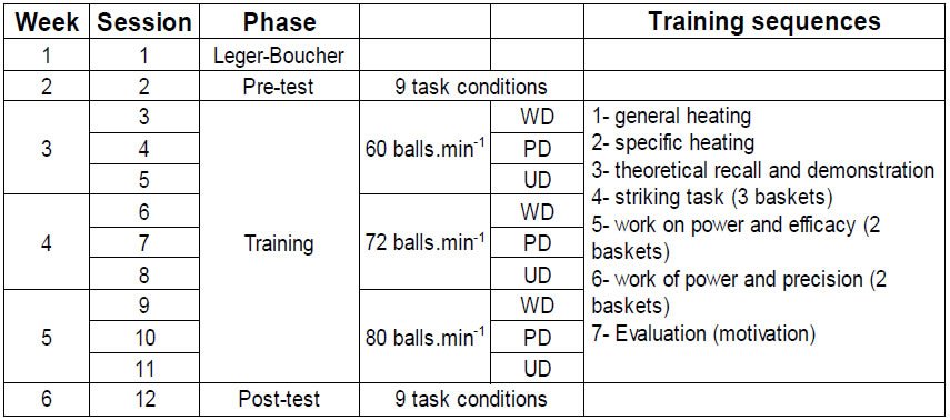 Table 1 Temporal structure of the experimental procedure