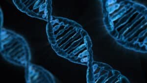¿Podemos culpar a nuestro ADN?