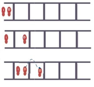 Dos dentro - lateral