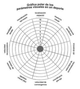 gráfica polar