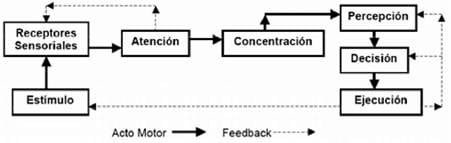 Modelo del acto motor. Adaptado de Sage (1984, citado en Ruiz Pérez, 1994) 