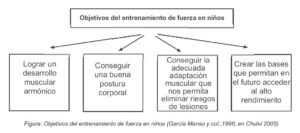 Objetivos del entrenamiento de fuerza en niños (garcia Manso y col., 1996; en Chulvi 2005
