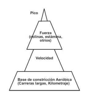 Imagen 2: piramide del NUEVO programa