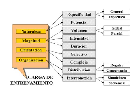 Vertientes fundamentales de la carga. Adaptado de Navarro y Rivas (2001)