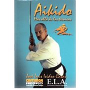 Aikido, más allá de las tecnicas