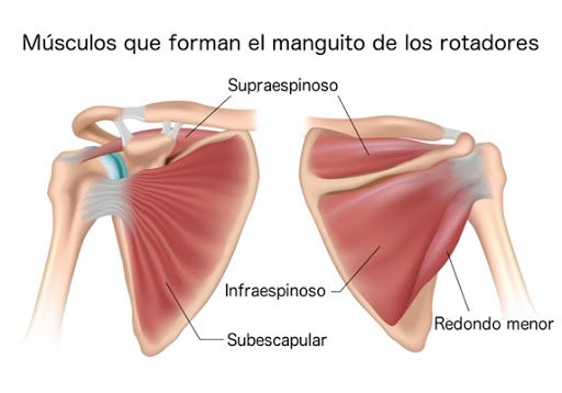 Programa de entrenamiento para la prevención del manguito rotador (hombro)